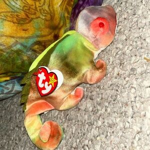 Meet iggy the beanie baby rare collectable